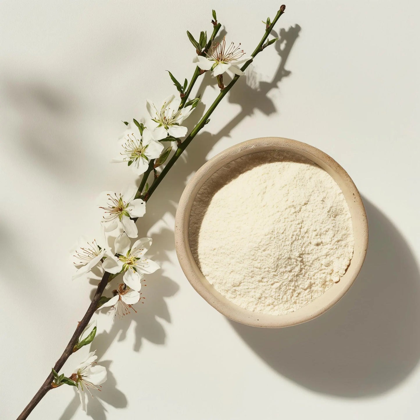 Manuka Honigpulver
